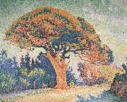 Pine Tree at Saint-Tropez Paul Signac